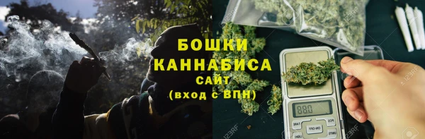 сатива Баксан