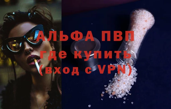 сатива Баксан