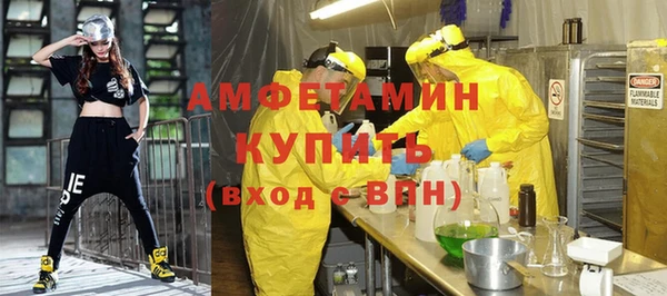 сатива Баксан